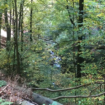 Fuchsbau Apartman